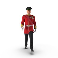 Irish Guard Sergeant on white. 3D illustration