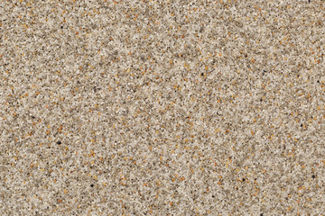 The texture of the wall . Sand crumb