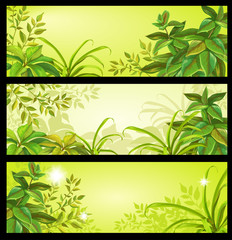 Tropical leaves. Horizontal banner set.