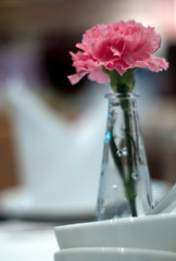 Pink carnation adorned in thin glass vases placed on a dining table