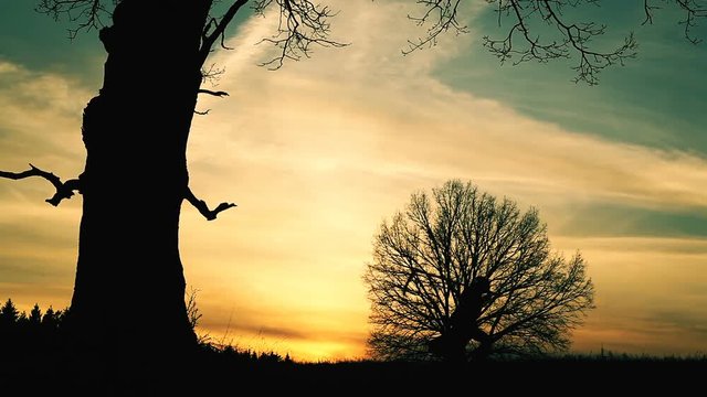 At sunset there is a grim Reaper
