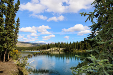 Takhini river, Yukon