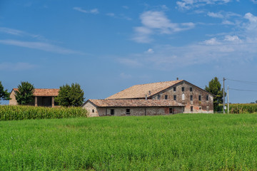 Rural landscape near Cortemaggiore, Italy