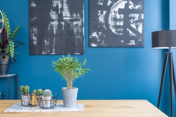 Paintings in blue dining room interior