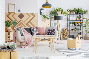 Plants in living room