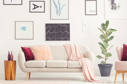 Gallery in pink living room