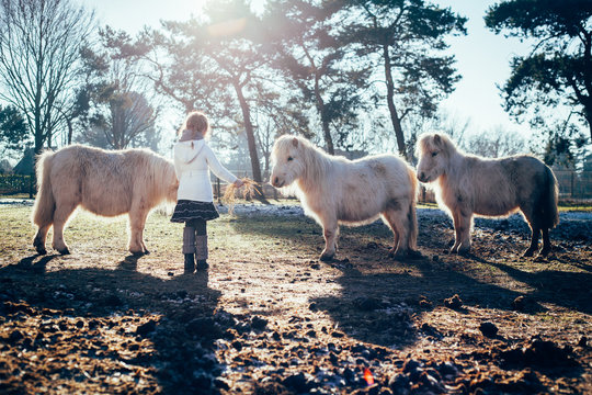 Kind mit Ponys 