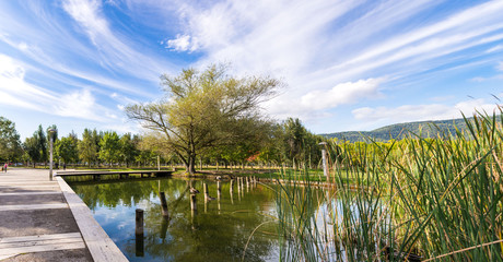 A little beautiful lake with wild ducks, in the park of Banyoles, Girona district, Catalonia, Spain