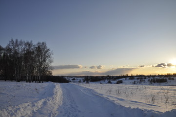 зимний ковыль
