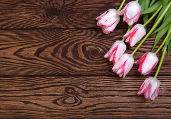  tulips on wooden table