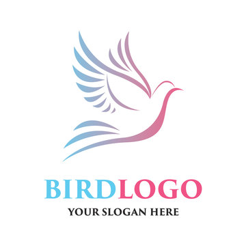 bird logo with text space for your slogan / tagline, vector illustration