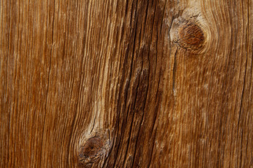 dried and aged wood for texture and whitespace
