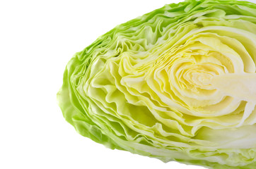 Cabbage isolated on white background