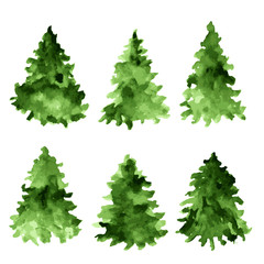 Set of green watercolor spruces. Fir tree collection.