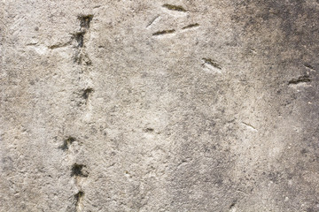 Closeup texture of old stone wall