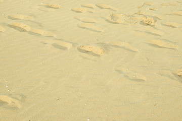 Footsteps on the beach sand