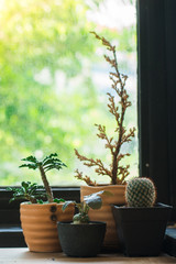 A space of Wooden Table for somethings , small plant