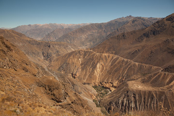 Fototapeta na wymiar Great view over the Colca canyon in Peru