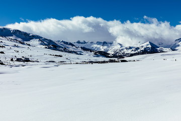 Snowy landscape