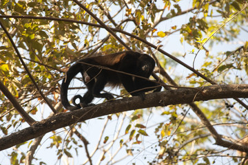 Fototapeta premium Costa Rica,