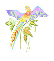 Obraz premium Embroidery pattern with parrot and tropical leaves. Vector illustration hand drawn. T-shirt print design.