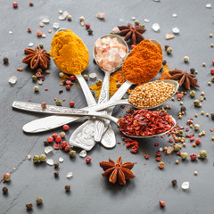 Spices and herbs. Variety of spices and herbs on a dark wooden surface