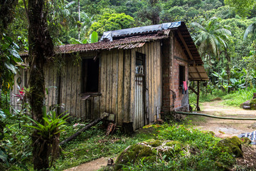 Habitation en forêt