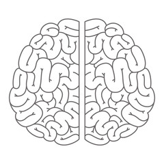 human brain organ icon