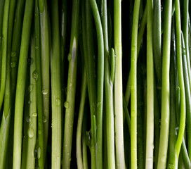 Chives with water drops