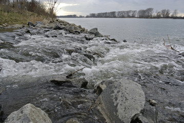der winkelbach mündet bei gernsheim in den rhein
