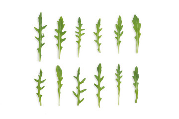 top view of rocket rukola salad on white background in two rows, artistically arranged