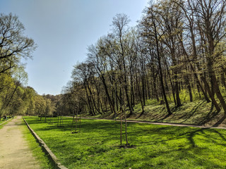 City park in the spring season