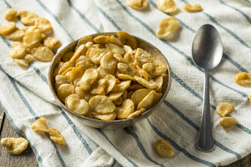Homemade Salty Roasted Fava Beans