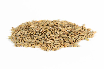 Samen von Roggen isoliert auf weißem Hintergrund