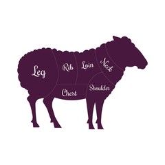 Sheep mutton meat cuts butcher vector icon