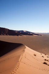 Fototapeta na wymiar Dune di sabbia rossa nel deserto della Namibia