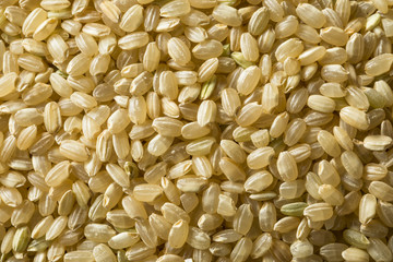 Raw Organic Short Grain Brown Rice