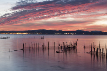Atardecer en la albufera © mananuk