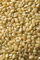 Raw Organic Short Grain Brown Rice