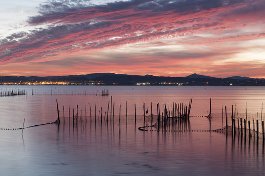 Atardecer en la albufera