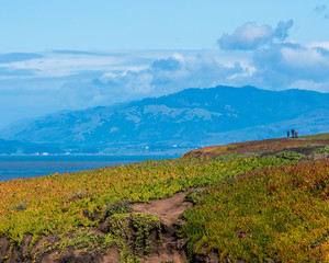 Fiscalini Ranch Preserve in Cambria California scenes