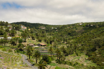 Fototapeta na wymiar Landscape view on the valley near Valle Gran Rey city