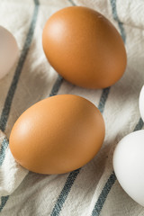 Cage Free Organic White and Brown Eggs