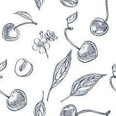 Cherry set. Hand drawn berry isolated on white background. Summer fruit engraved vector style illustration. Great for label, poster, print. Seamless pattern © asetrova