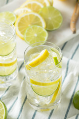 Homemade Lemon and Lime Water