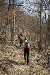 Naklejka premium Group of friends walking along hiking trail path. Hikers on their adventure.