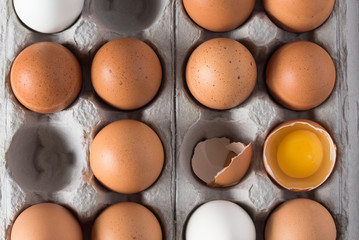 Various Chicken Eggs