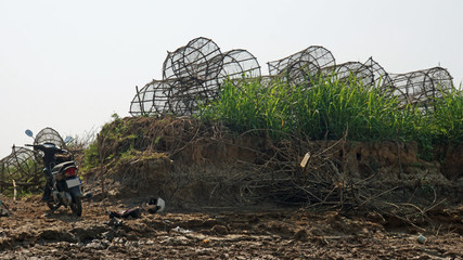wild tonle sap