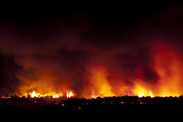 Forest fire, Pinus pinaster, Guadalajara (Spain)