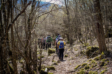 Obraz premium Group of friends walking along hiking trail path. Hikers on their adventure.